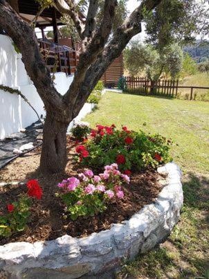 Ases Villa Lagonisi Halkidiki Ormos Panagias Extérieur photo